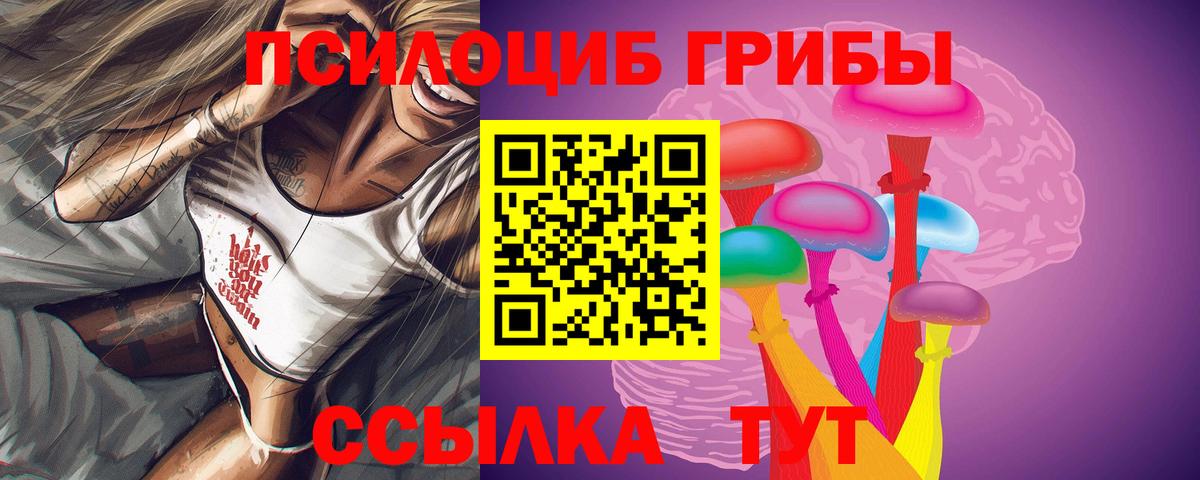 Чайковский  Псилоцибиновые грибы Psilocybine cubensis  Галлюциногенные грибы прущие грибы  Вход с VPN 